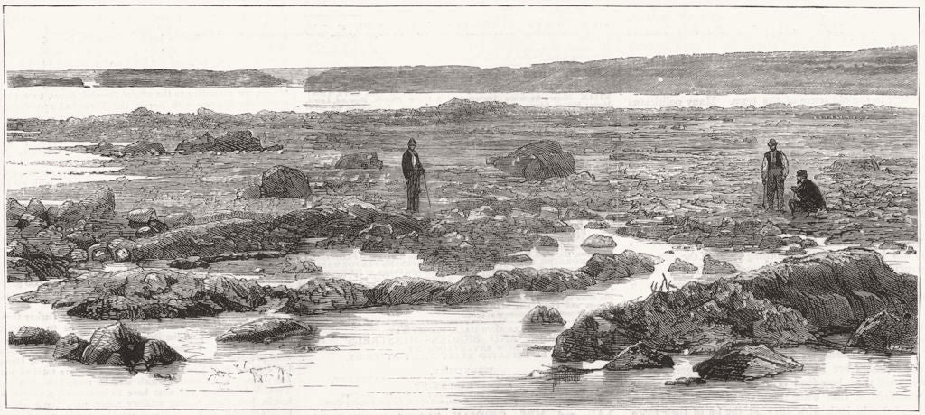 EUROPE. The Impending war-The Iron gate on the Danube 1877 old antique print